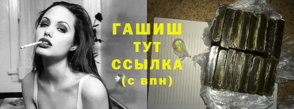 индика Осташков