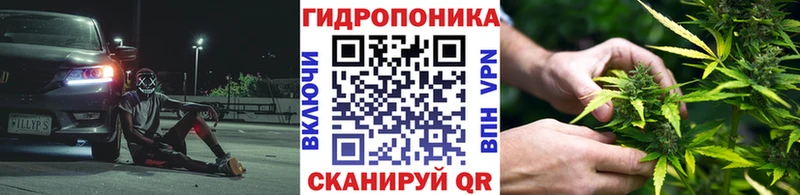 Конопля Ganja  kraken онион  Пласт 
